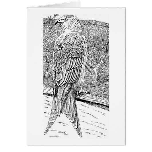 Red Kite Cards (Front)