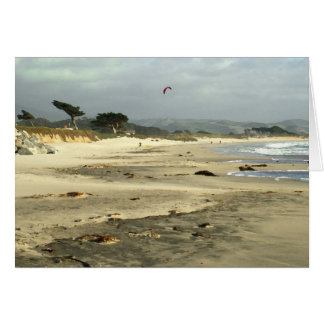 Red Kite Cards