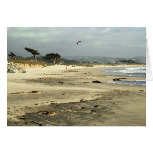 Red Kite Cards (Front Horizontal)