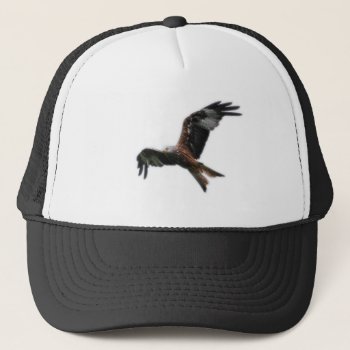 Red Kite Hat by Welshpixels at Zazzle