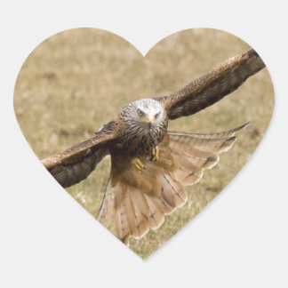 Red Kite (Milvus Milvus) Heart Sticker