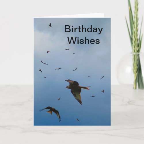 Red Kites _ buzzards _ Birthday card