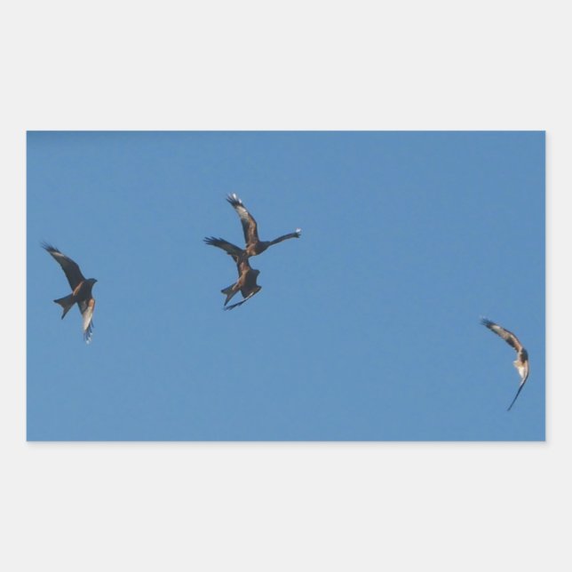 Red Kites Sticker (Front)