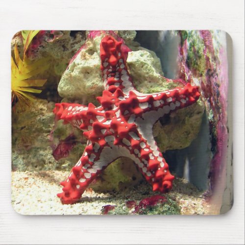 Red Knobbed Starfish _ Incredible Shot Mouse Pad