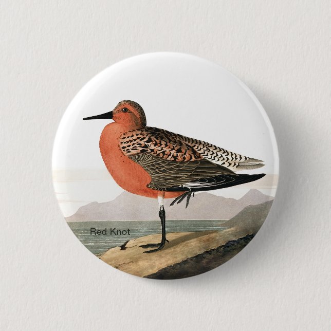 Red Knot by Audubon, Sandpiper Birdwatcher, Bird Button (Front)