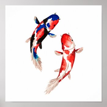 Red Koi Fish Poster by BethanyIllustration at Zazzle