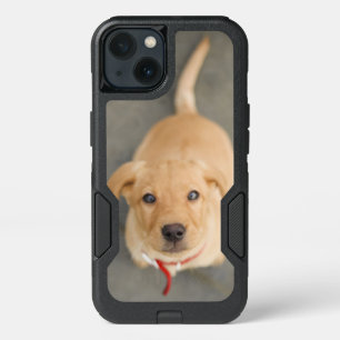 Red Labrador Puppy iPhone 13 Case