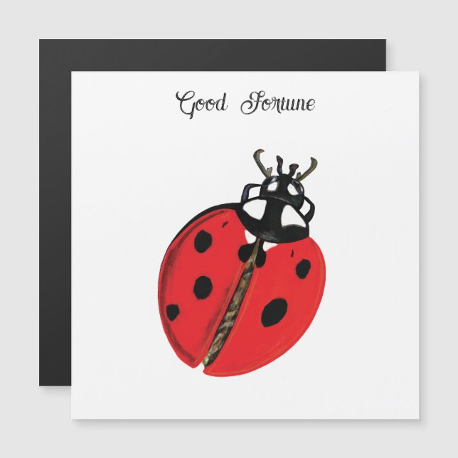 Red Lady Bug Good Luck Ambassador Illustration  (Front/Back)