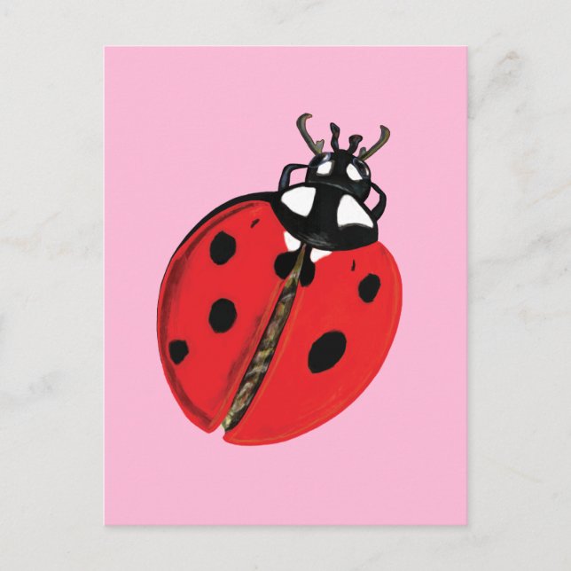 Red Lady Bug Good Luck Ambassador Illustration Postcard (Front)