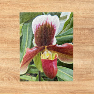 Red Lady Slipper Orchid Floral Jigsaw Puzzle