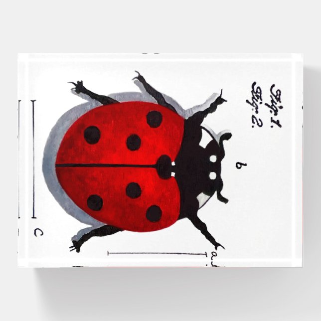 Red Ladybug Paperweight (Front)