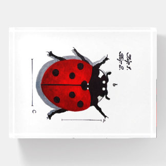 Red Ladybug Paperweight