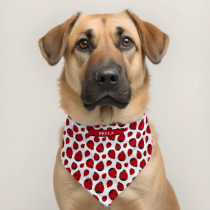 Red Ladybug Pattern Personalized Pet Bandana Collar