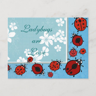 Red Ladybug Postcard