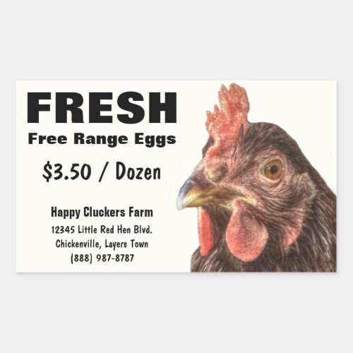 Red Laying Hen Chicken Photo Rectangular Sticker