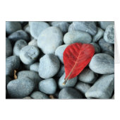 Red leaf and stones (Front Horizontal)