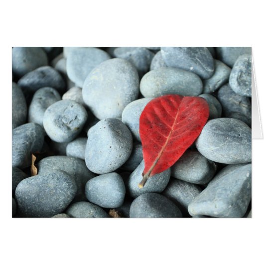 Red leaf and stones cards (Front Horizontal)