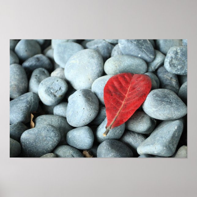 Red leaf and stones poster (Front)