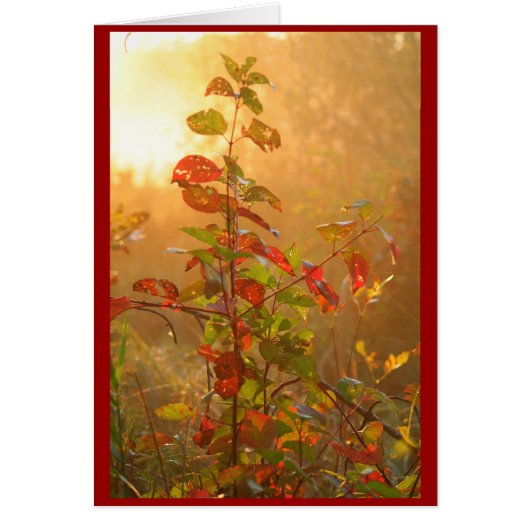 red leaf cards (Front)