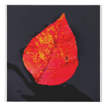 Red leaf