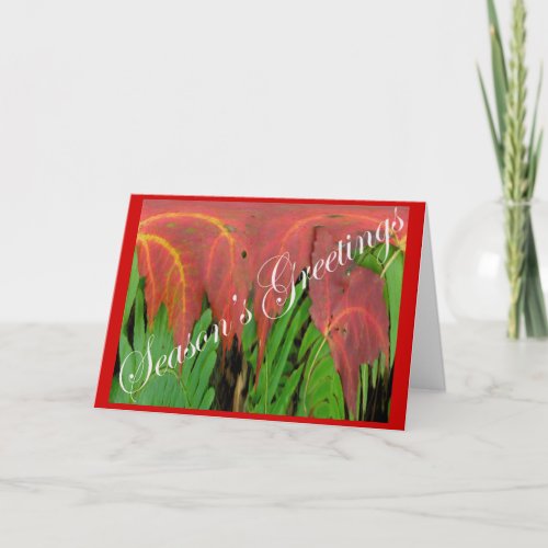 Red Leaf  Fern Christmas Card