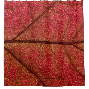 Red leaf in close up photography shower curtain