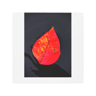 Red leaf metal print