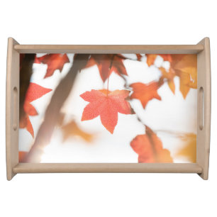 Red Leaf Nature Photo Serving Tray