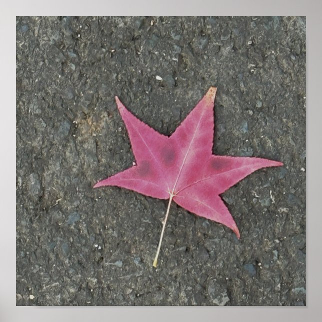 Red Leaf Photo Poster (Front)