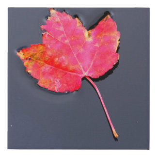 Red leaf to the side faux canvas print