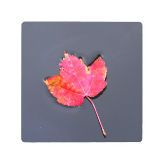 Red leaf to the side metal print
