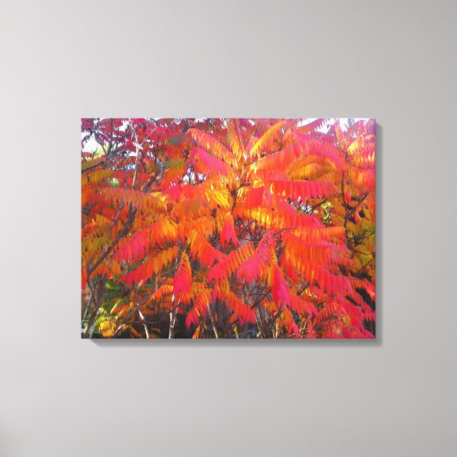 Red Leaf Tree 3 Canvas Print (Front)