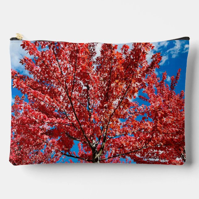 Red Leaf Tree In Fall Accessory Pouch (Front)