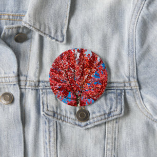 Red Leaf Tree In Fall Button