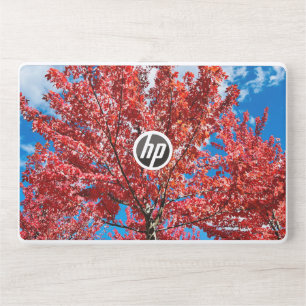 Red Leaf Tree In Fall HP Laptop Skin