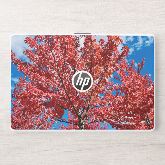 Red Leaf Tree In Fall HP Laptop Skin (Front)