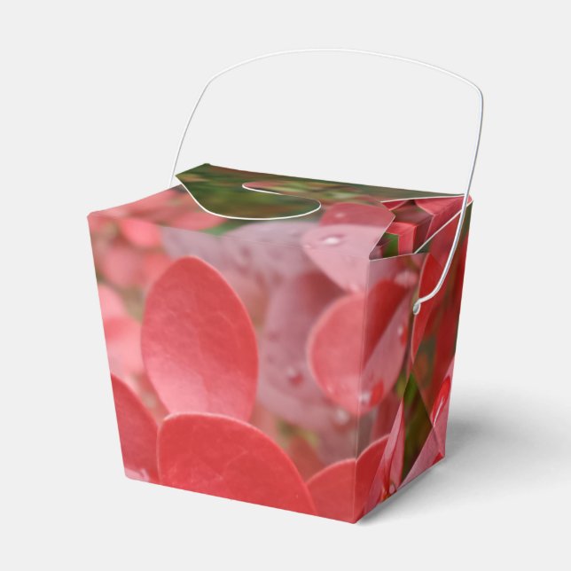 Red Leafs Take Out Favor Box (Front Side)
