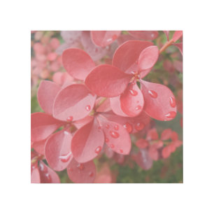 Red Leafs & Water Drops 12" x 12" Gallery Wrap