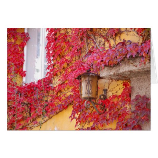 Red Leaves Cards (Front Horizontal)
