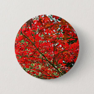 Red leaves pinback button