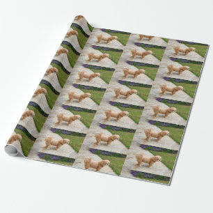 Red Lhasa Apso dog Wrapping Paper