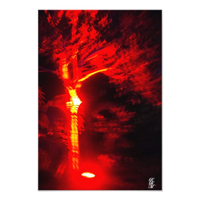 Red Light Tree Photo Print (Front)