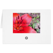 Red Lilie 1 Cards (Back Horizontal)