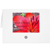 Red Lilie 2 Cards (Back Horizontal)