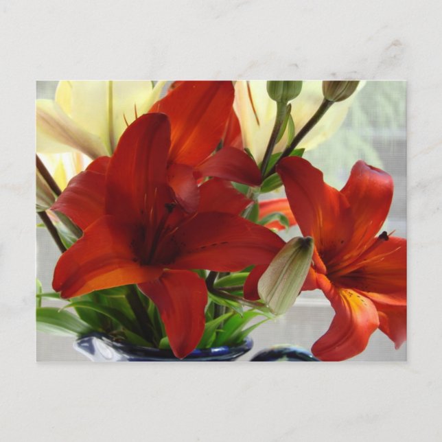 Red lilies postcard (Front)