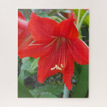 Red Lilly Flower Puzzle 