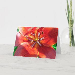 Red Lily Card