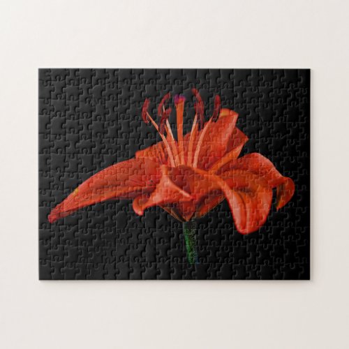 Red Lily On Black Jigsaw Puzzle