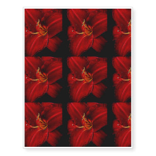 Red lily On Black Temporary Tattoos