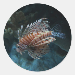 Red Lionfish Stickers